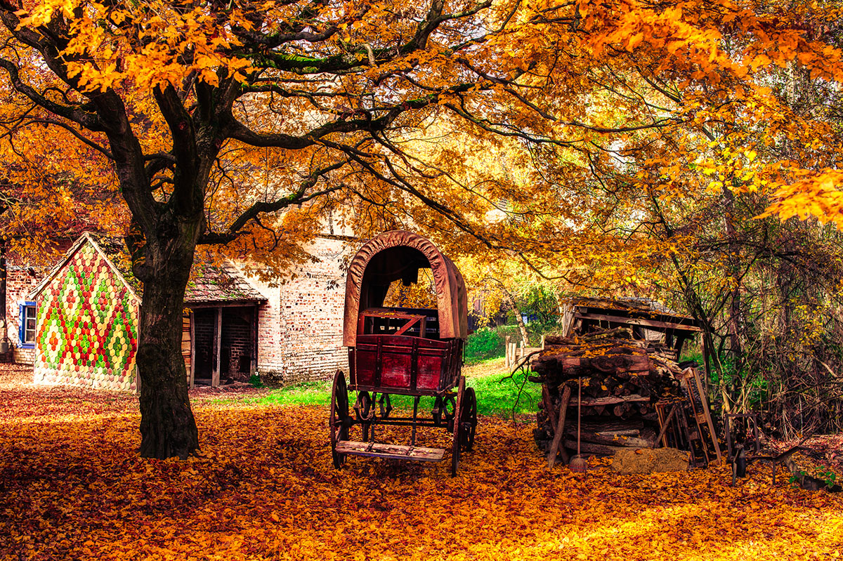 perception-formation-presentation-cours-creatif